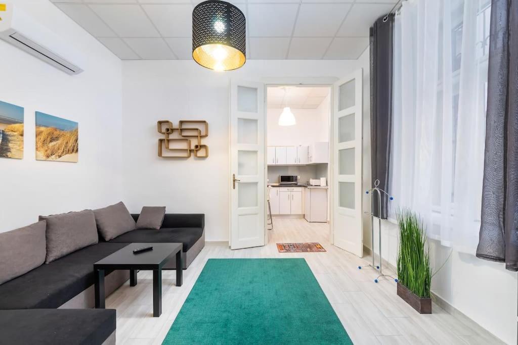 Swarz's Downtown Apartament *
